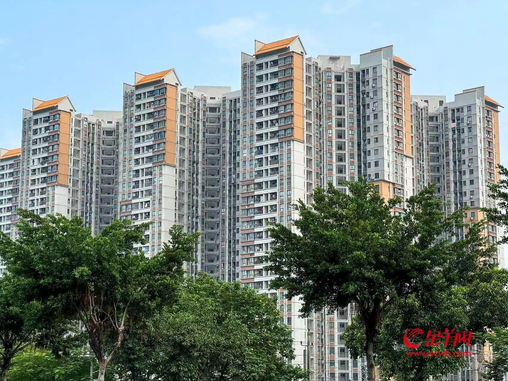 广州毕业季租赁市场_广州个人租赁市场分析_出租出售