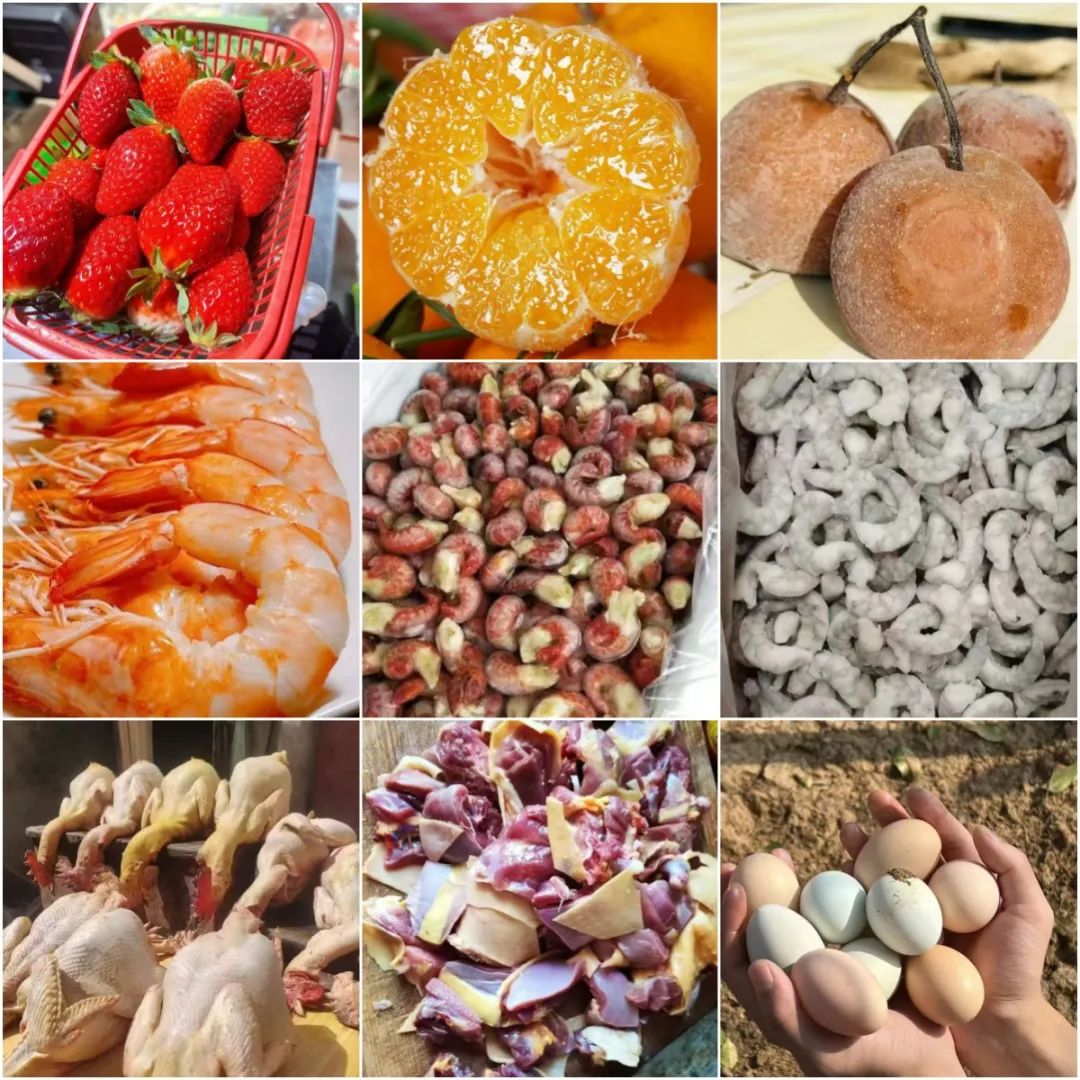 出租出售四个字图片_出租出售电话卡怎么处罚_出租出售