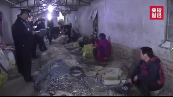 临潼最新房屋出租信息全面概览