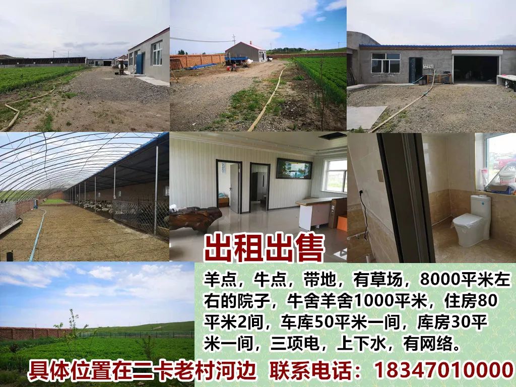 出租出售房屋图片文字_出租出售_出租出售图片