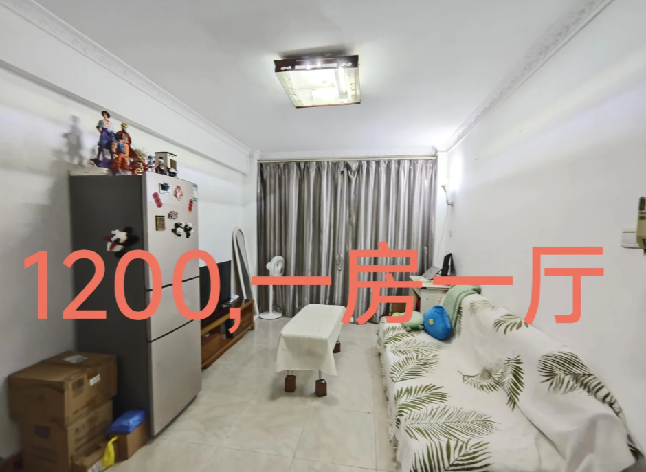 租房信息_租房信息找哪个平台_租房信息发布哪个平台好