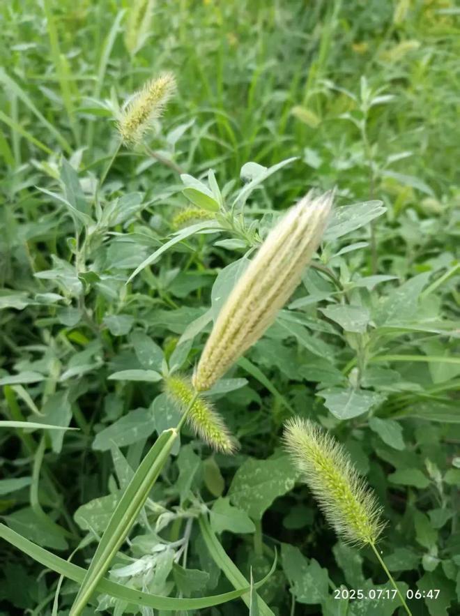 二手闲置物品置换_住宅商铺仓库租售信息_租售信息