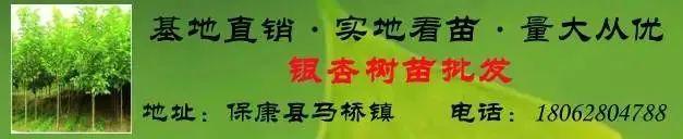 房屋出租信息_出租信息图片_出租信息