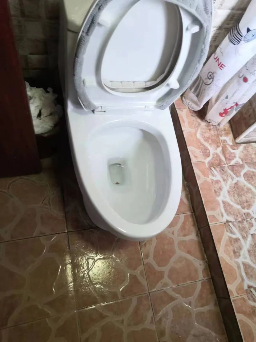 租房信息发布哪个平台好_租房信息_租房信息找哪个平台