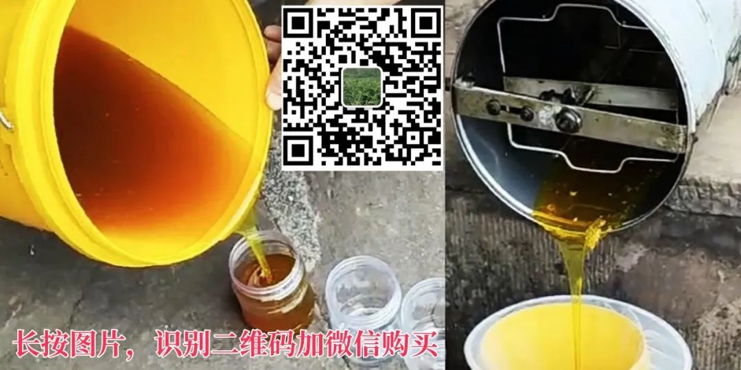 出租出售四个字图片_出租出售房屋广告怎么写_出租出售