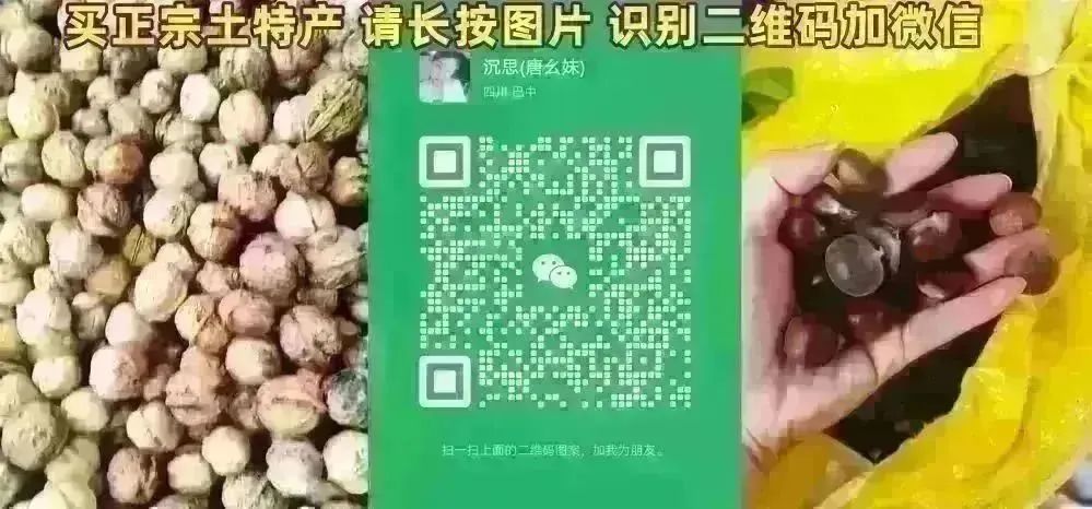 出租出售_出租出售房屋广告怎么写_出租出售四个字图片