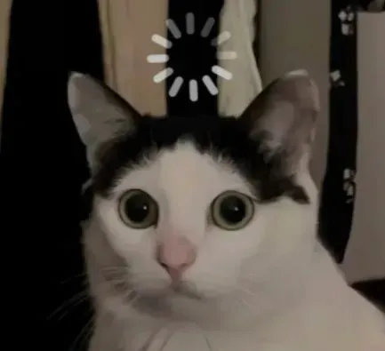 毕业季成广漂，找房租遇难题，官方参考价与市场价对比如何？