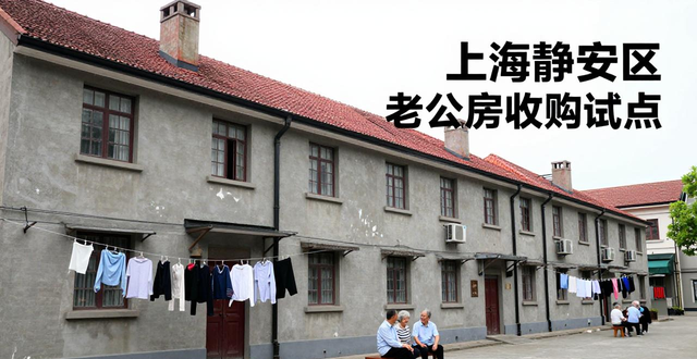 收购存量房用于保障性租赁住房_租房信息_上海二手房收购保租房政策