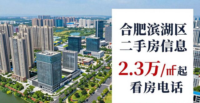 合肥滨湖区二手房信息 2.3万/㎡起看房电话