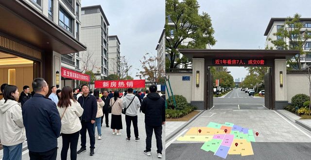 杭州溪上俪庭新房大热，二手房却1年没成交，啥情况？